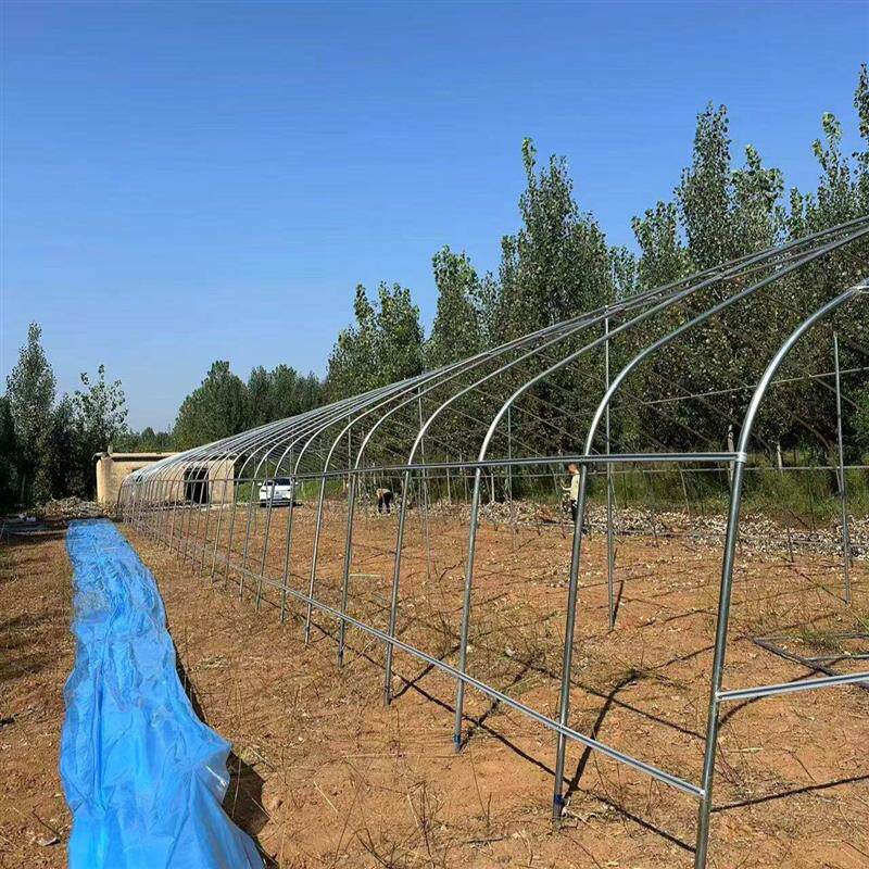 温室大棚骨架钢管养殖种植椭圆家用鸡棚全套花卉钢架牛棚养猪蔬菜