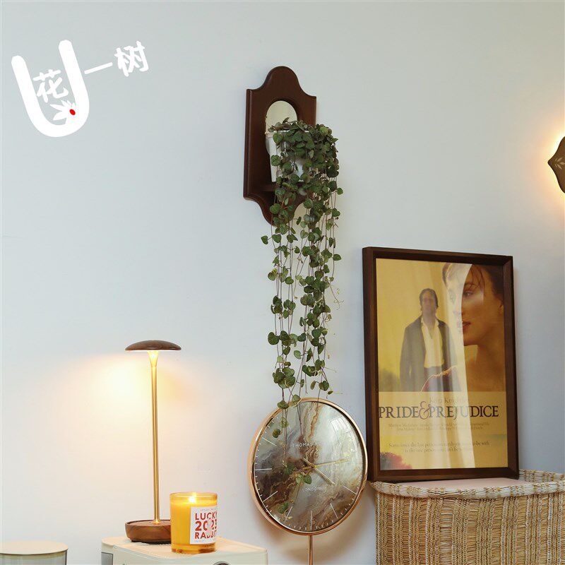 U花壁挂式花架 中古壁挂固定墙面置物架背景墙上木框花架盆景架