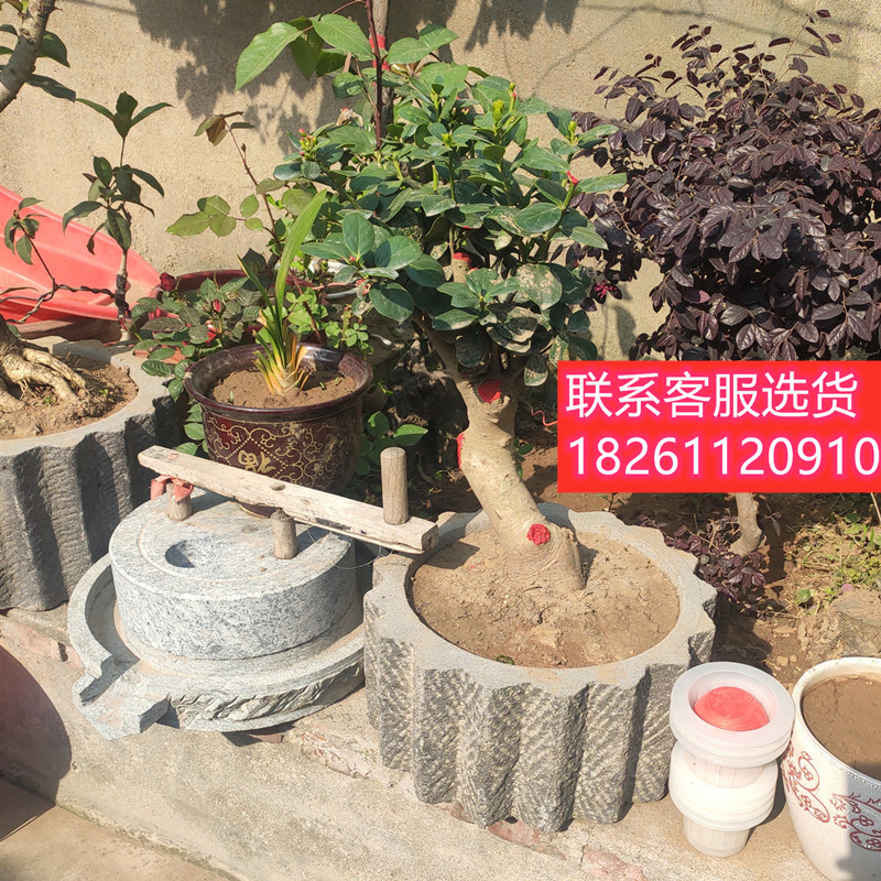 老旧石磨新挖石头花盆铜钱草石盆石盆流水造景复古怀旧洗手池鱼缸