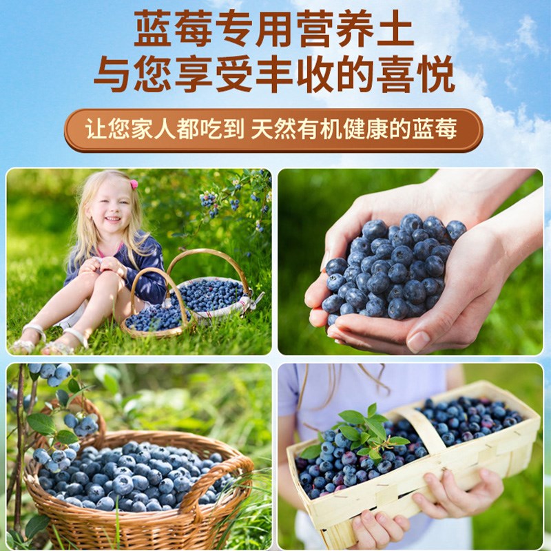 种蓝莓专用土营养土蓝莓树盆栽专用土果树土壤种植土有机土肥料