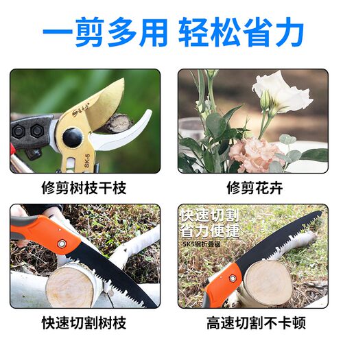 修剪树枝专用大剪刀家用园林园艺剪粗枝盆景锯子剪SK5果树修枝剪