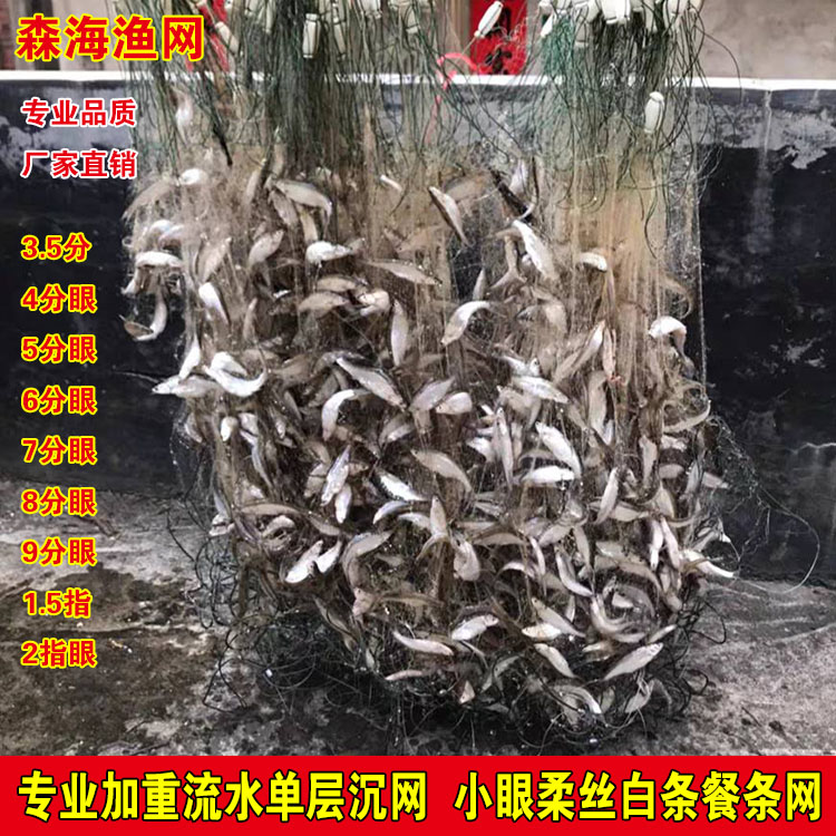 小白条餐条鱼网加重4分5分6分7分8分9分单层流水沉网捕鱼丝网黏网