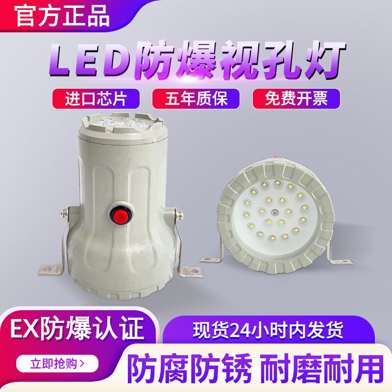 LED防爆视孔灯BSD反应釜视镜灯密闭容器探照灯照明内视灯射灯12v