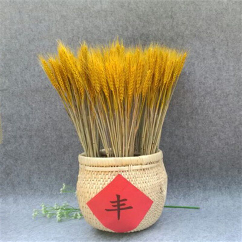 容器 农家纯手工柳条编织芭斗 柳筐竹筐水果篮干花花瓶农家乐装饰