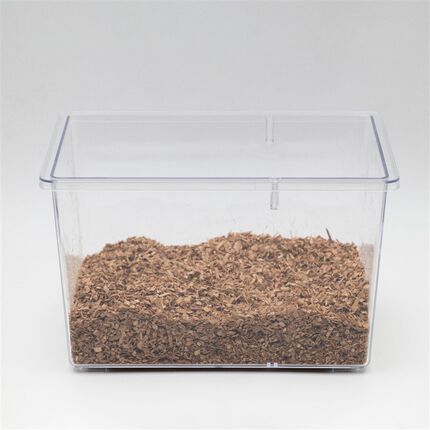 牧野虫社生木屑2升装成虫优质垫材可制作发酵木屑可重复使用甲虫