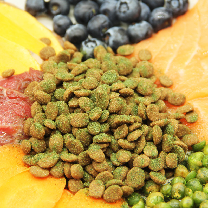 老郭三文鱼海藻幼成犬狗粮美毛去泪痕黑鼻头健康皮肤金毛泰迪比熊