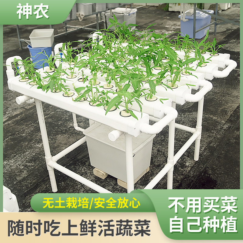 家庭学校蔬菜大棚架子家用花架无土栽培水培设备阳台种菜神农6槽
