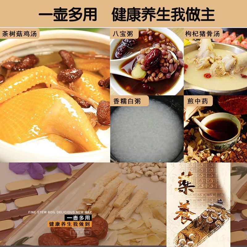 万迪王全玻璃内胆养生壶 电煮茶壶全自动煎药壶燕窝壶烧水壶2.5L