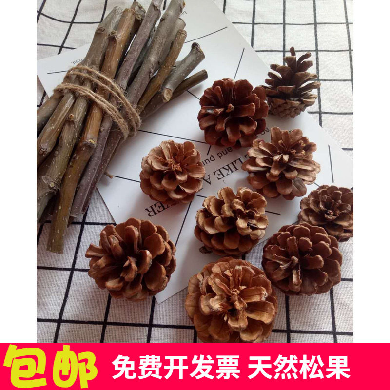 包邮天然松果装饰 手工制作树叶松球圣诞松果干花拍摄道具diy材料