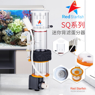 红海星迷你蛋分蛋白质分离器海水化氮器鱼缸分离器过滤器sq507090