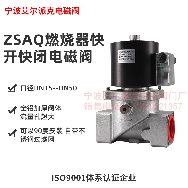 ZSAQ燃烧器燃烧机用电磁阀冬斯型快开快闭DN15 DN25常闭型AC220V