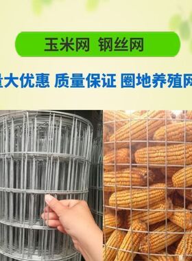 圈玉米网镀锌铁丝网围栏养殖网钢丝加粗电焊网拦鸡超硬护栏防护网