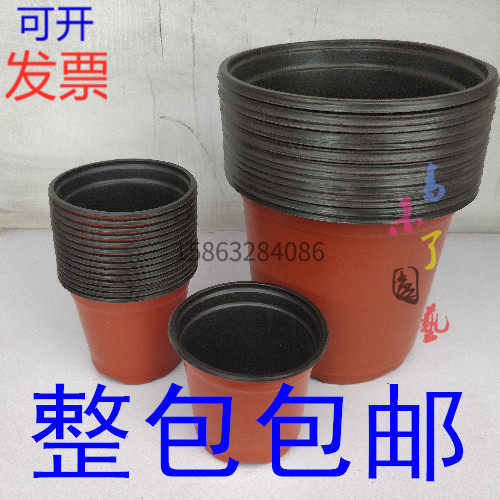 塑料双色育苗红黑软花盆育苗营养钵加厚耐用整包邮草莓简易厂家发