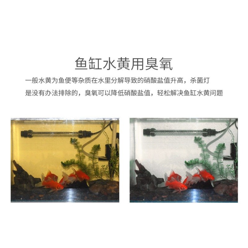Weipro韦柏海水鱼缸臭氧机水族臭氧发生器杀菌除藻除黄绿水腥臭味