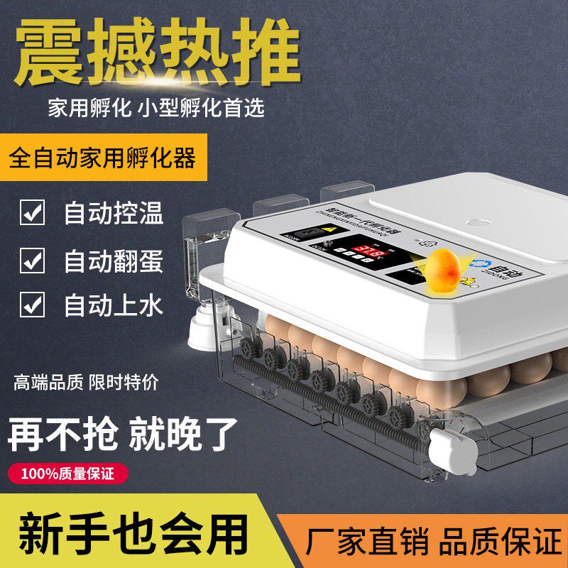 孵化器小型家用全自动智能孵化机迷你小鸟孵蛋器芦丁鸡恒温孵化箱