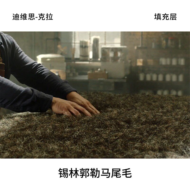 迪维思马尾毛手工电动床垫智能电动调节零重力止鼾多功能双人床