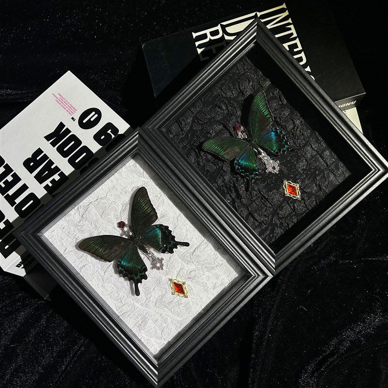 绿带翠凤蝶真蝴蝶标本装饰画带框玄关摆件工艺画情侣手工生日礼品