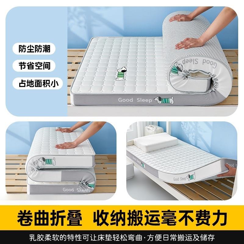 单人乳胶床垫卧室床褥垫租房专用记忆海绵垫子乳胶芯6双人床