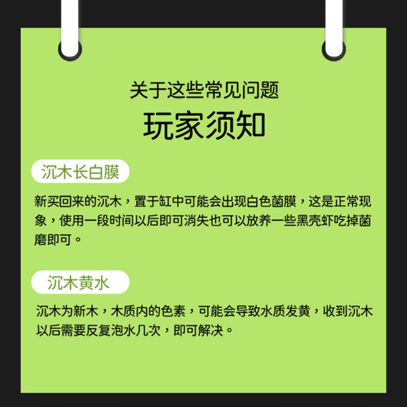 鱼缸造景真水草全套装饰莫斯沉木小水生淡水生态养鱼花草懒人