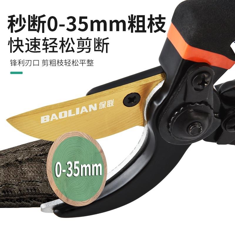 剪刀园艺剪枝修枝剪粗枝剪园林花剪果树修剪树枝专用省力剪切工具