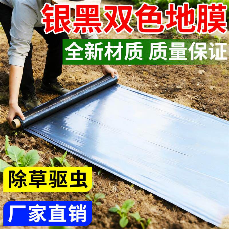 银黑双色地膜农用种植地膜种菜专用反光加厚防长草蔬菜黑塑料薄膜