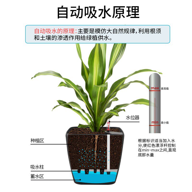 方形大口径花盆懒人自动吸水储水盆琴叶榕专用客厅中号大号塑料盆