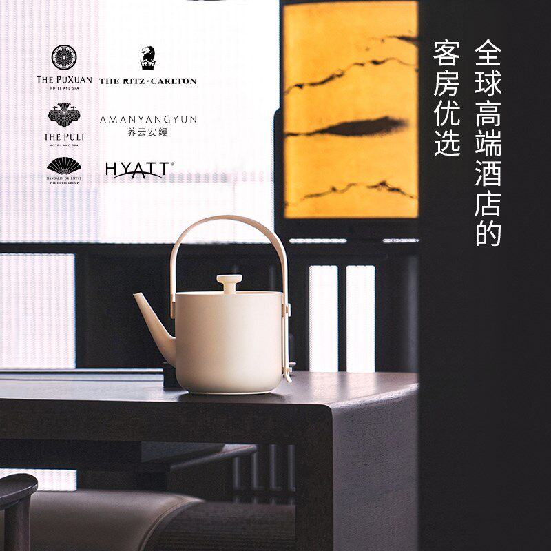 汀家汀壶茶素材电烧水壶电热水壶2025新款家用养生泡茶专用电水壶