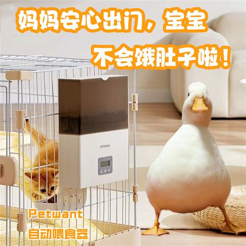 PETWANT派旺柯尔鸭宠物鸭外挂自动喂食器笼子悬挂式短途出行