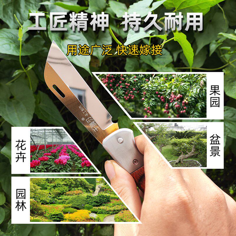 M42进口高速据片钢嫁接刀折叠芽接刀果树嫁接刀专业嫁接户外工具