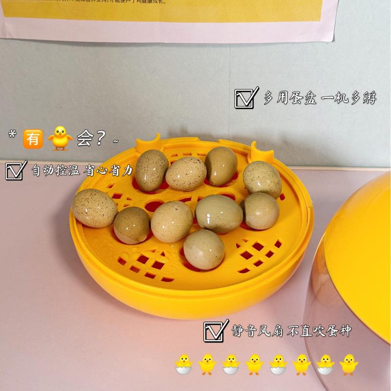 智能家用小型恒温水床孵化器芦丁鸡小鸡鹦鹉自动翻蛋湿度控制