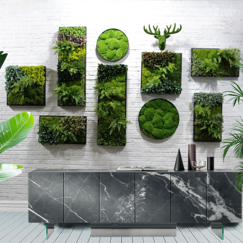 壁挂式绿植背景墙 电视墙创意挂画装饰 青苔风格墙面软装 假花立