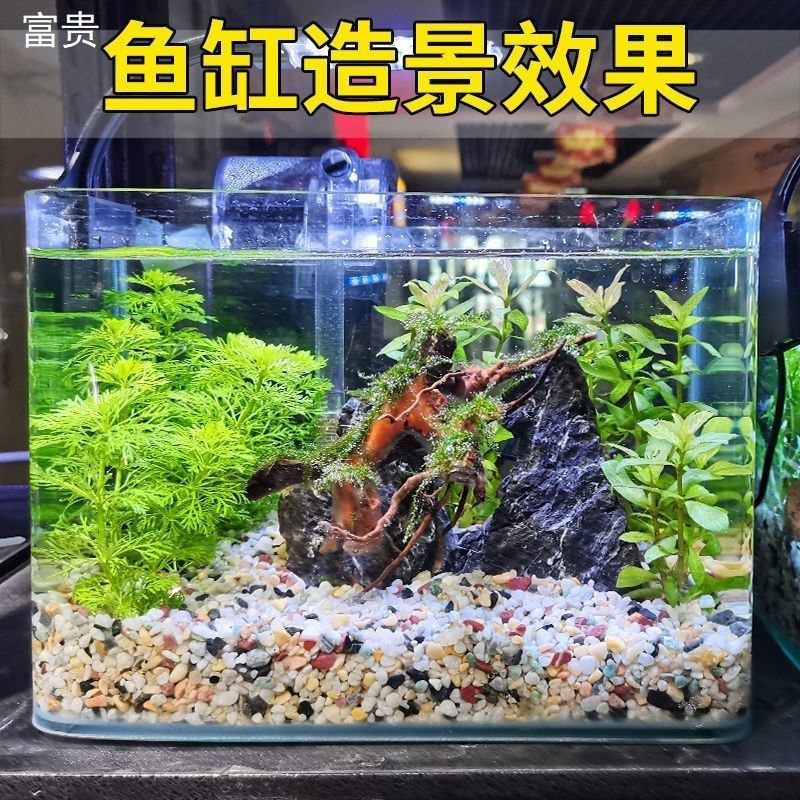 天然雨花石原石鱼缸底砂火山石造景小石头装饰彩色石子五花石龟缸