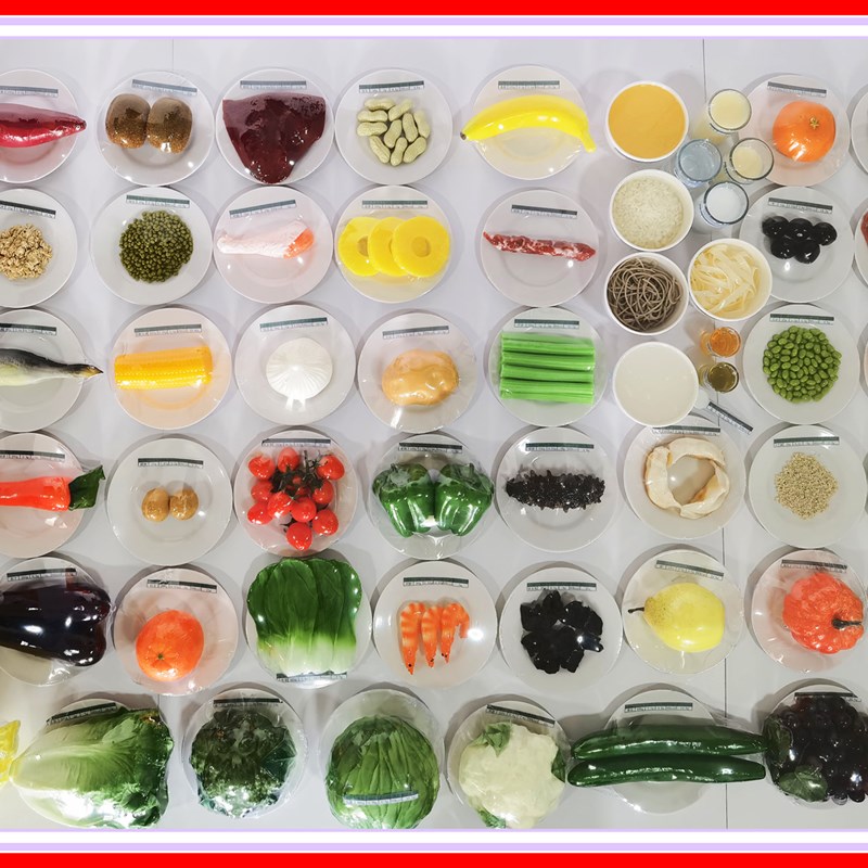 营养指导模型食物交换份仿真食品中国居民平衡膳食宝塔模型通用版