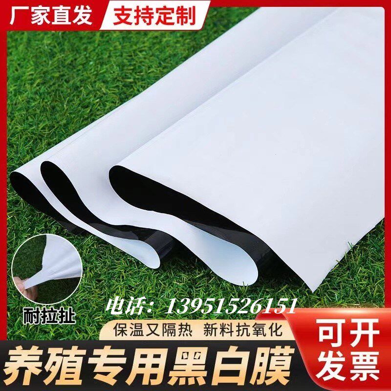 进口黑白膜养殖加厚大棚膜鱼塘防渗膜防晒隔热塑料布食用菌绿白膜