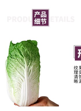 新款超大白菜道具软装橱柜展示 仿真蔬菜 娃娃菜模型教具田园装饰