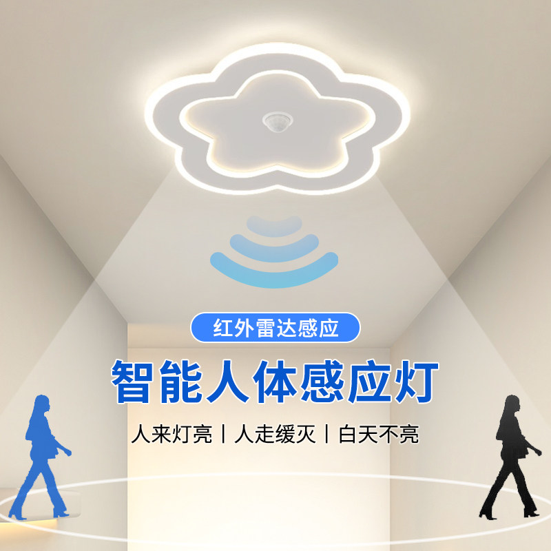 感应灯入户门玄关灯人体夜间自动人来即亮led过道灯走廊灯吸顶灯