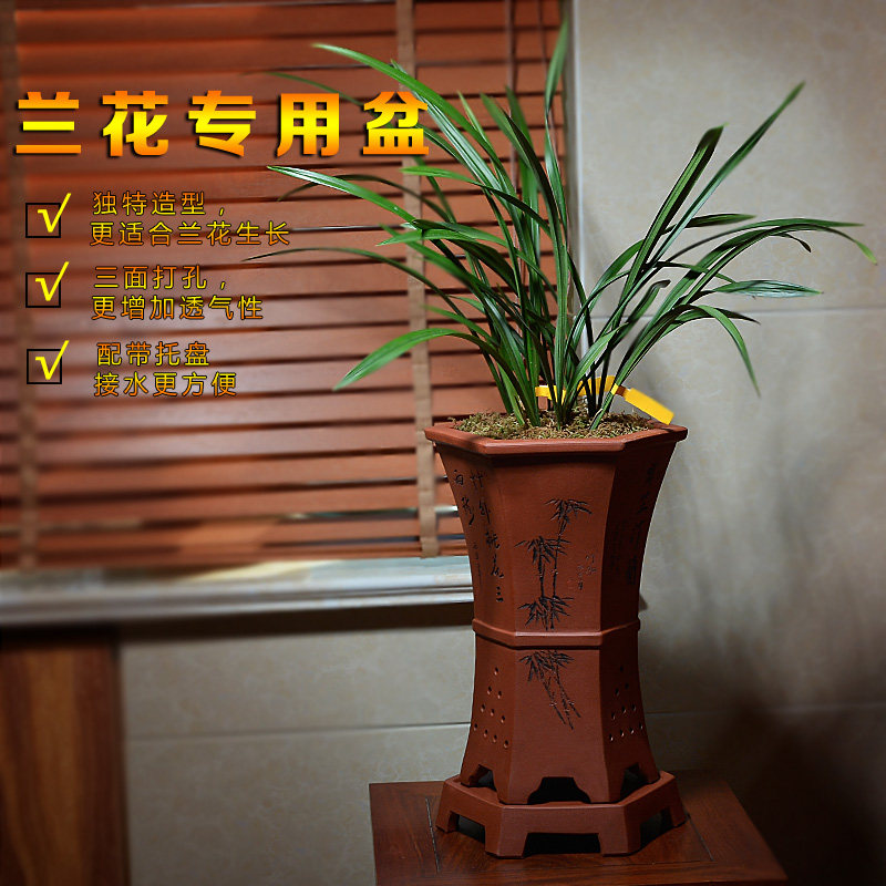 紫砂兰花花盆 六方精品刻绘带托盘兰草绿植盆栽古典紫泥清水泥盆