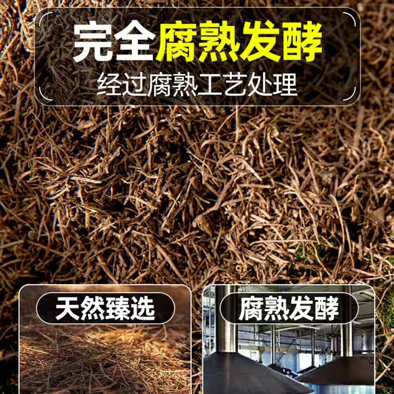 纯松针腐殖土君子兰专用土松针腐叶土腐熟透气兰花天然腐叶松针土