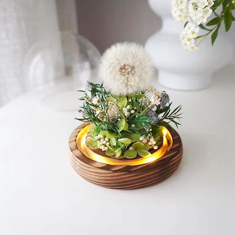 永生花蒲公英玻璃罩diy材料包摆件生日礼物送闺蜜暖场沙龙妇女节