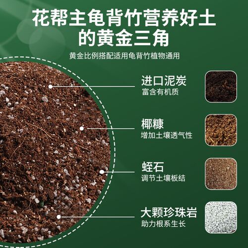 龟背竹专用土营养土养花土天南科土壤家用盆栽进口泥炭种植土肥料