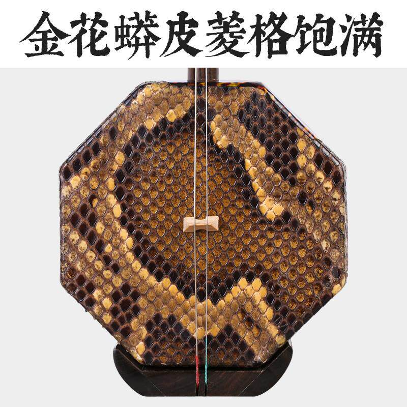 黑檀木大低胡低音二胡阿诺古夷苏木八角低音胡琴伴奏演奏专业大胡