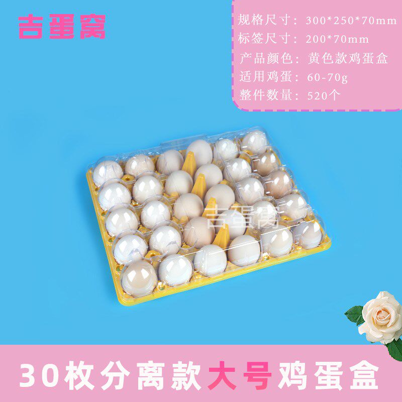 30枚塑料鸡蛋托盖打孔透气款彩色系列底盖分开鸡蛋包装盒生产厂家