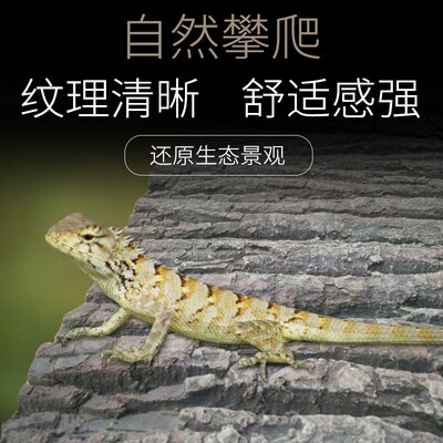 爬宠饲养箱3D立体造景板蜥蜴角蛙蜘蛛观赏蛇爬虫雨林pu树皮背景板