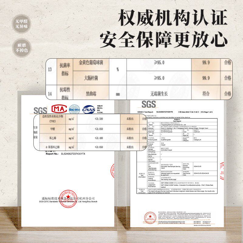 新中式国风入户门地垫2025新款进门口玄关脚垫子防滑耐脏家用地毯