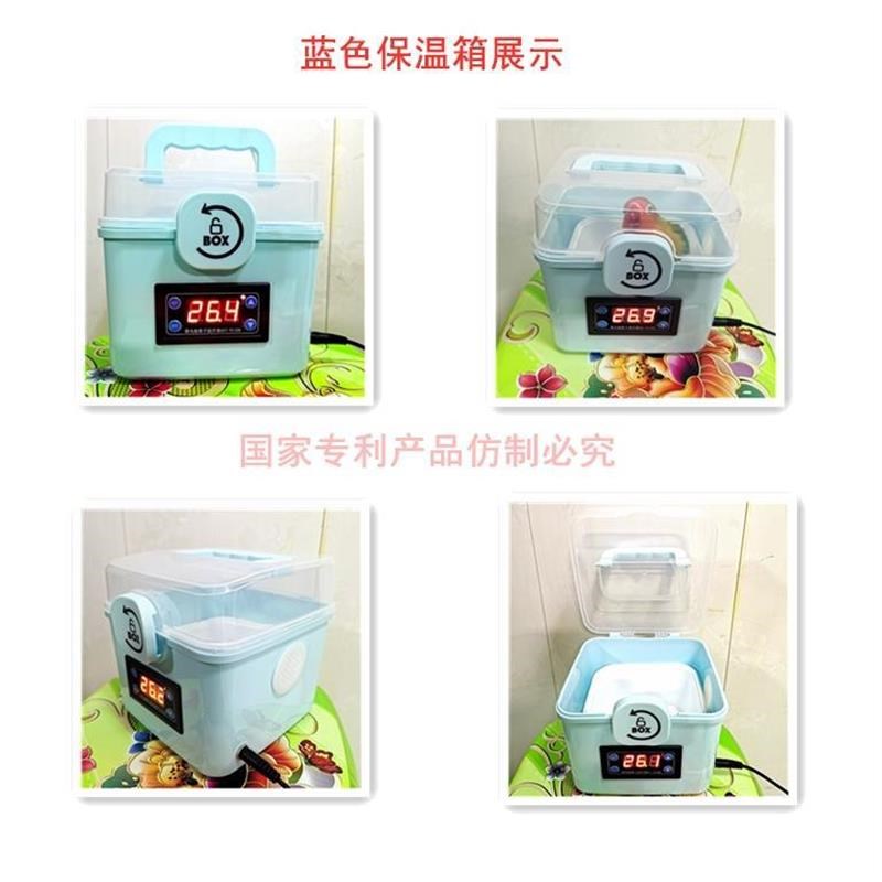 鹦鹉保温箱新款便携式智能恒温鹦鹉幼鸟育雏保温箱宠物恒温保温箱