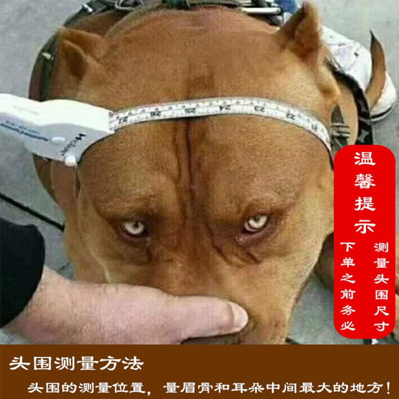 不锈钢嘴套狗嘴套防咬人防乱吃防叫挣脱中大型犬宠物马犬口笼罩