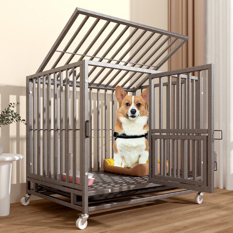 狗笼子小型犬中型犬室内柯基泰迪柴犬狗窝带厕所室外大型宠物围栏