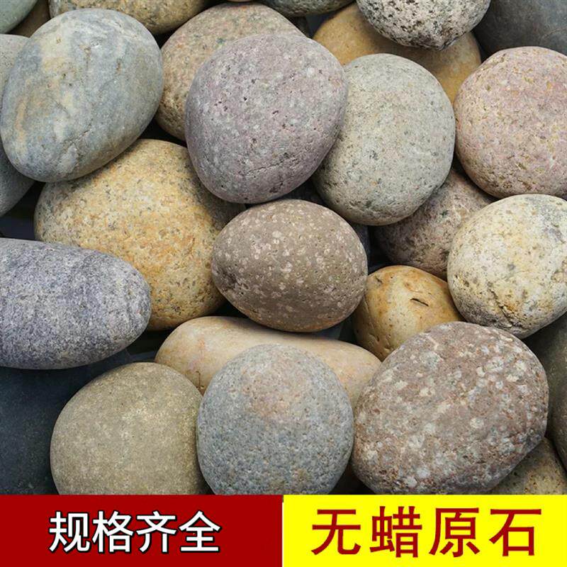 河北河卵石河滩石变压器变电站石头铺地过滤溪流造景园林鹅卵石