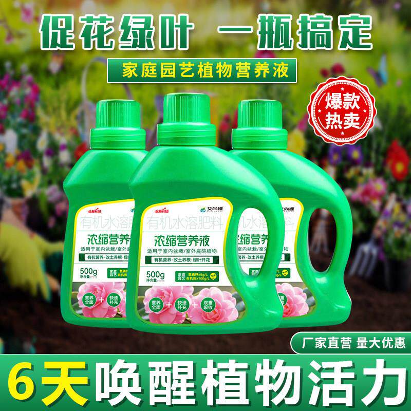 营养液植物通用型家用绿植花卉发财树富贵竹浓缩肥料室内开花黄叶