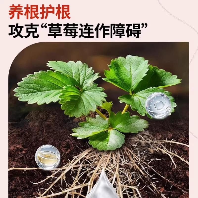 草莓专用肥鱼蛋白水溶肥氨基酸有机肥营养液膨果增甜叶面瓜果肥料